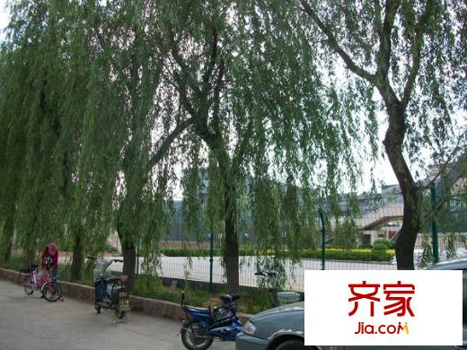 省體育宿舍外景圖 