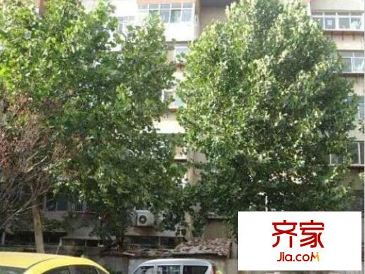 濟(jì)南大學(xué)宿舍外景圖 