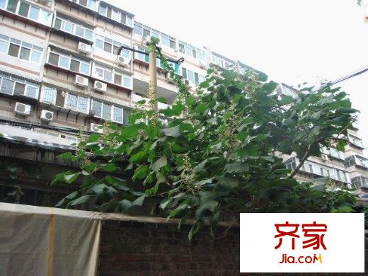 市華聯(lián)單位宿舍外景圖