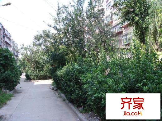 天橋區(qū)檢察院宿舍外景圖 