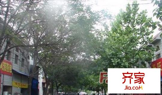 舜耕路財(cái)政學(xué)院宿舍外景圖