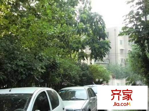 南新街民政廳宿舍外景圖 