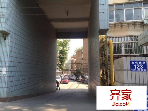 省歌舞劇院?jiǎn)挝凰奚嵬饩皥D 