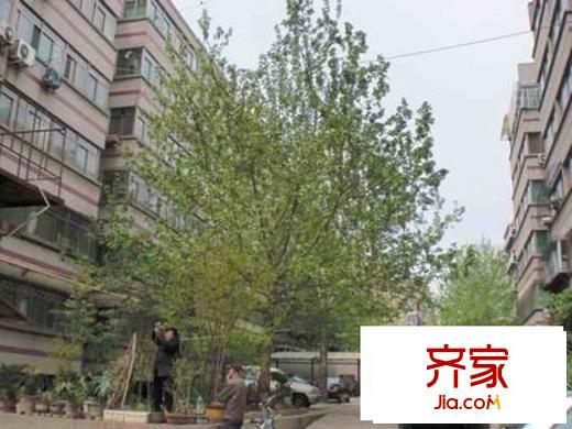 共青團路宿舍外景圖 