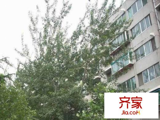 山東藝術(shù)學(xué)院宿舍外景圖 