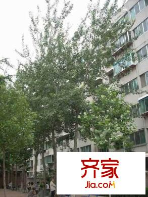 山東藝術(shù)學(xué)院宿舍外景圖 