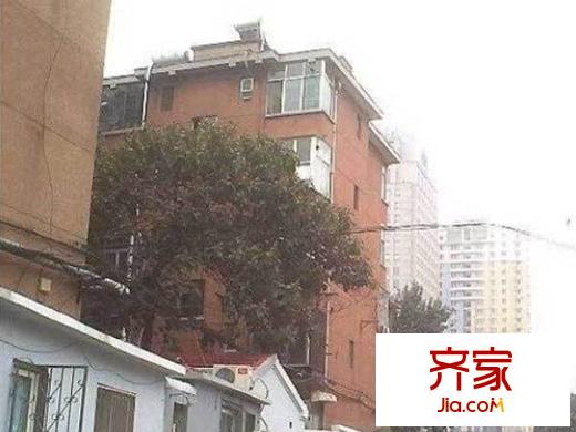 省高院羊頭峪宿舍外景圖 