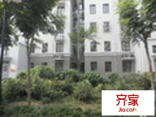 順河街新區(qū)外景圖