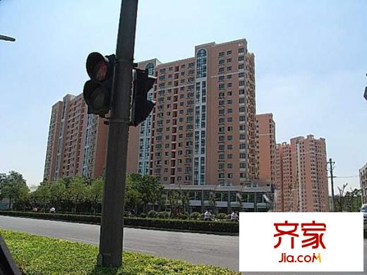 順河街新區(qū)外景圖  