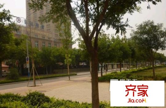 順河街新區(qū)外景圖
