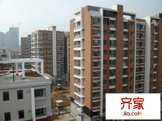 正大利農(nóng)六號外景圖 