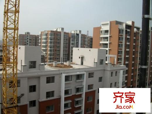 正大利農(nóng)六號外景圖 