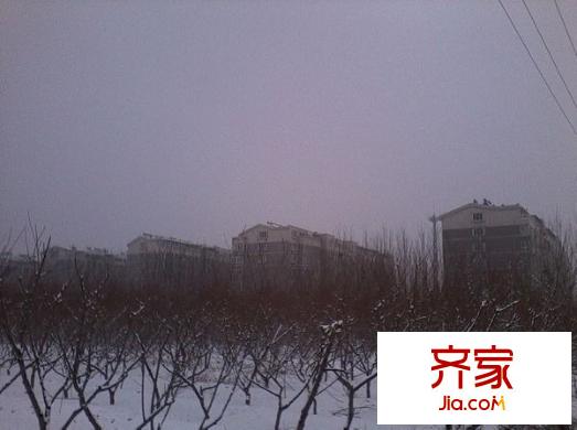 水屯小區(qū)外景圖外5