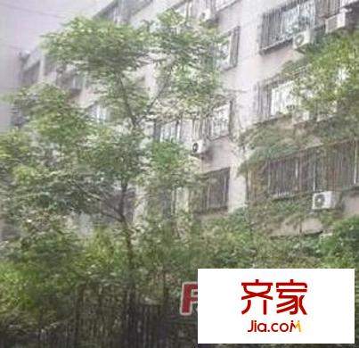 千佛山南路勞動廳宿舍外景圖 