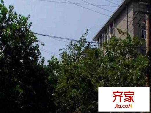 堤口路木材廠宿舍外景圖 