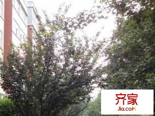 電力研究院宿舍外景圖 