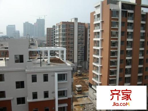 正大利農(nóng)六號外景圖 