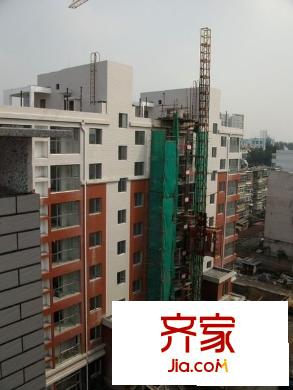 正大利農(nóng)六號(hào)實(shí)景圖 