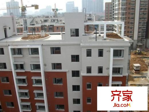 正大利農(nóng)六號外景圖 