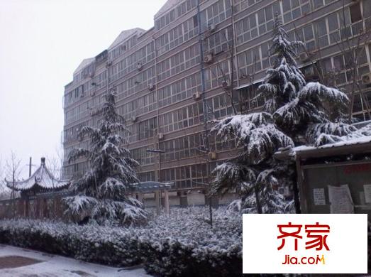 水屯小區(qū)外景圖外1