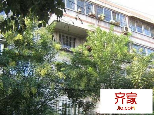 利農(nóng)莊路小鴨宿舍外景圖 