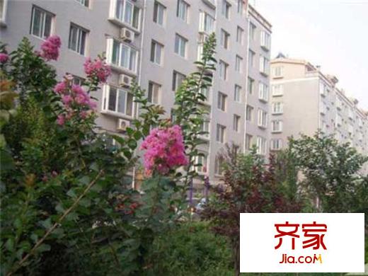 槐蔭交警宿舍外景圖 