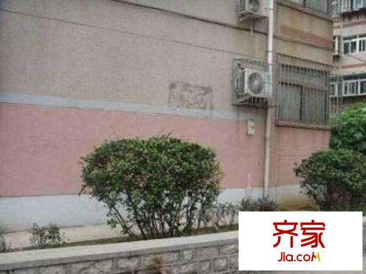 七里山文化局宿舍外景圖 