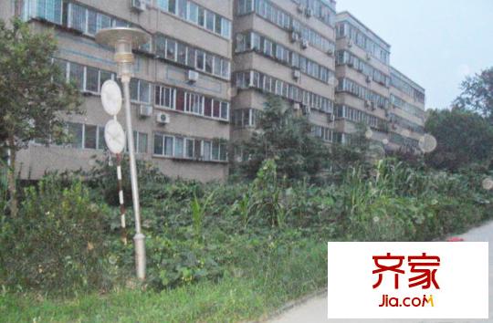青牛小區(qū)外景圖 