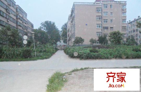 青牛小區(qū)外景圖 