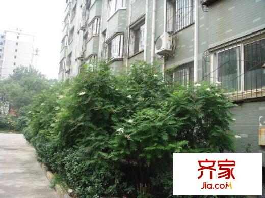 龍箭山莊