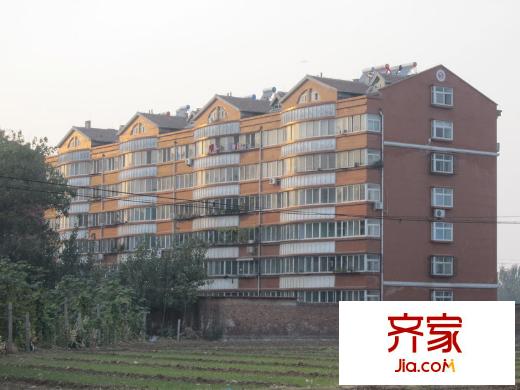 金石鑫小區(qū)實(shí)景圖一期現(xiàn)房實(shí)景（2010.10.13）