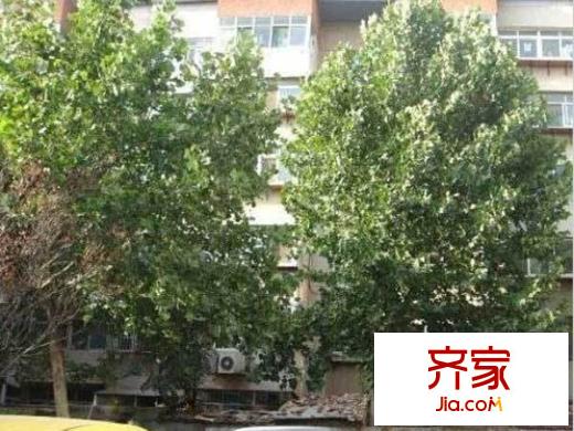 濟微路建材設計院宿舍外景圖 