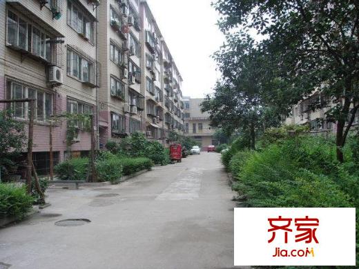 荷花園外景圖