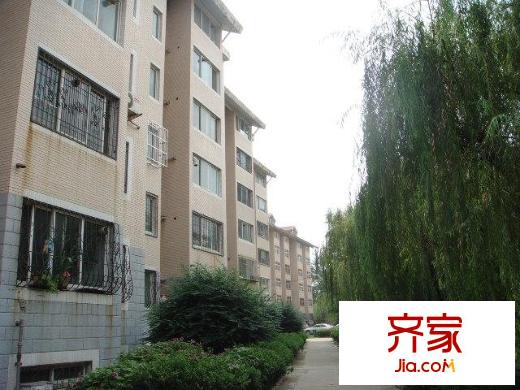 荷花園外景圖
