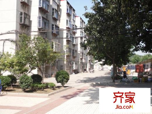 天橋區(qū)環(huán)衛(wèi)局宿舍外景圖