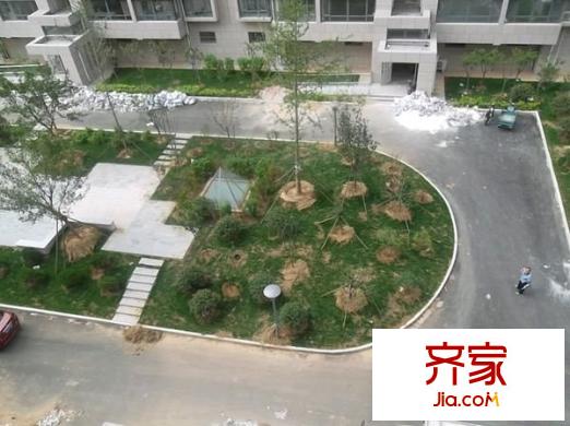 舜苑小區(qū)省人大宿舍外景圖 