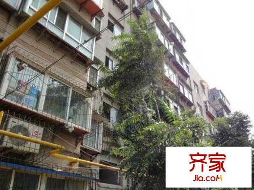 西八里洼單位宿舍外景圖 