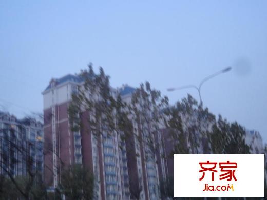 藍(lán)天綠園