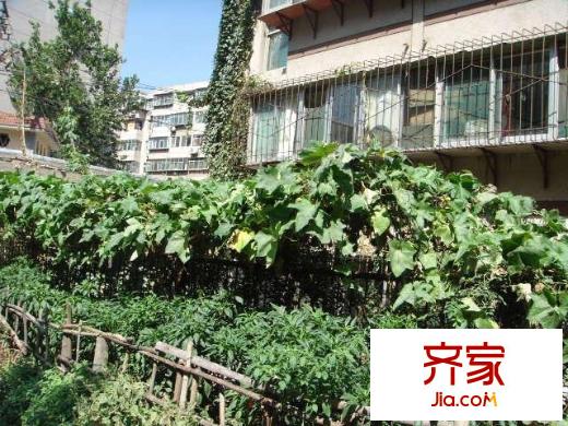 天成路單位宿舍外景圖
