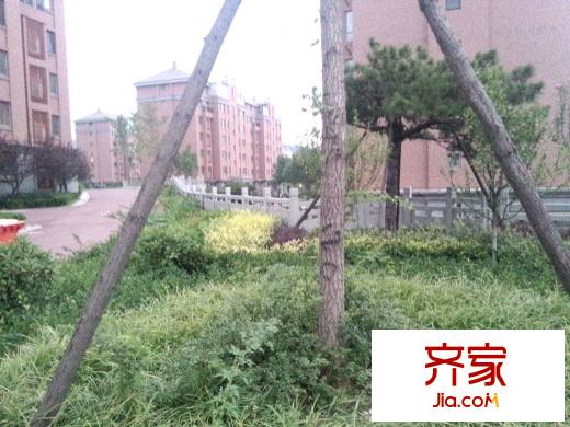 紫麟閣外景圖 