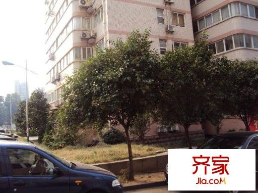 金泰花園