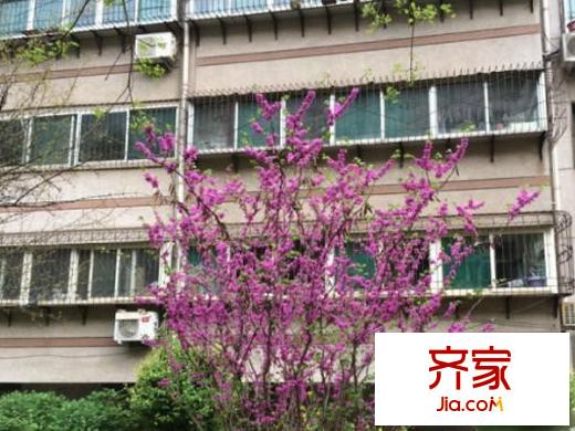 山大五宿舍外景圖 