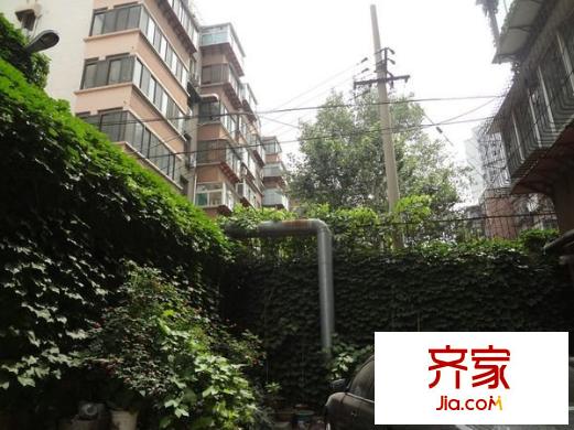 南圩子單位宿舍外景圖 