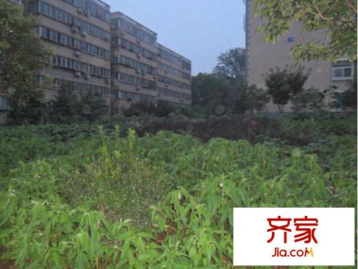 棗林陽光花苑外景圖 