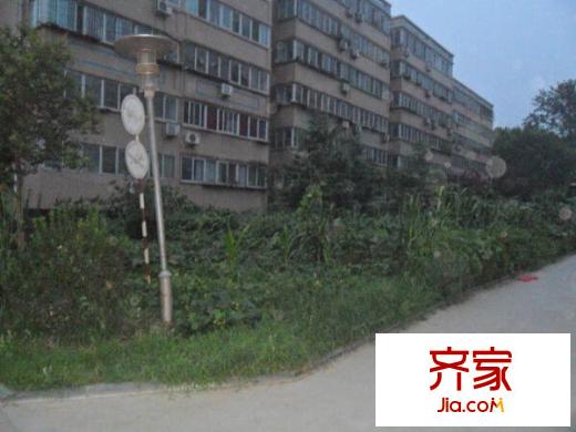 棗林陽(yáng)光花苑外景圖 