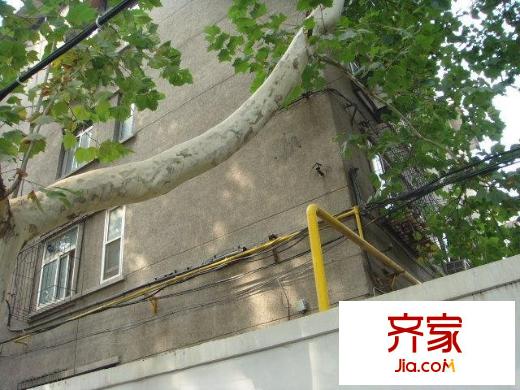 經(jīng)四緯八單位宿舍外景圖