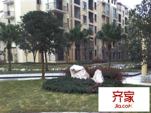 天成國際花園外景圖 