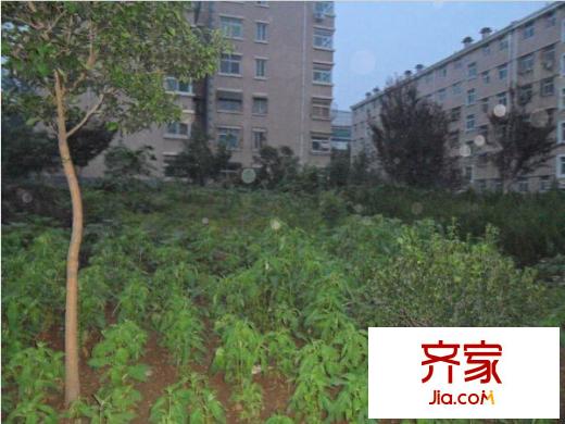 棗林陽光花苑外景圖 
