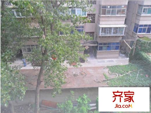 棗林陽光花苑外景圖 