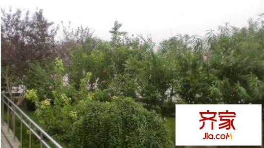 依山居外景圖